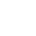 Committee Members